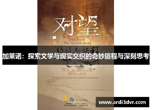 加莱诺：探索文学与现实交织的奇妙旅程与深刻思考