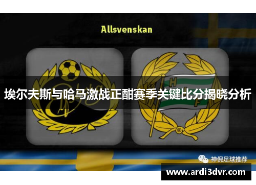 埃尔夫斯与哈马激战正酣赛季关键比分揭晓分析